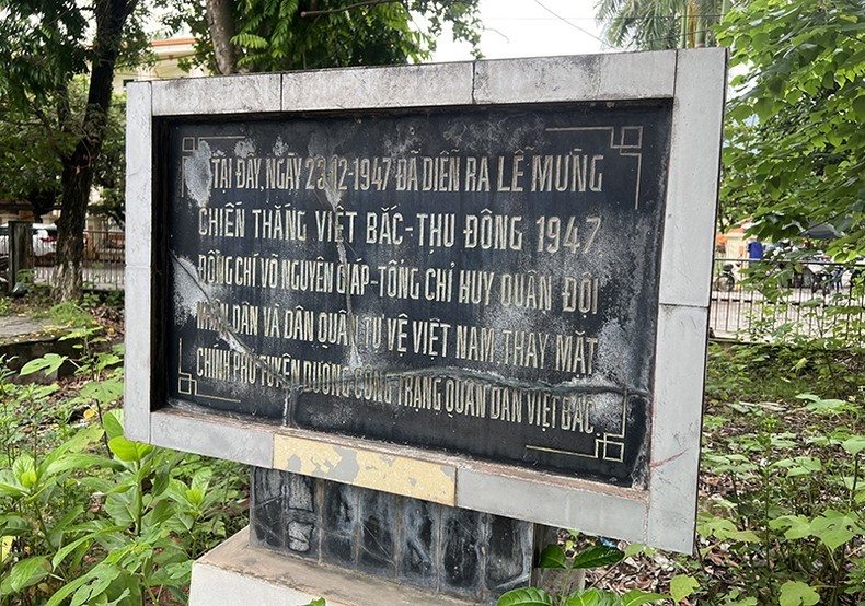 anh-5-4-3208-1691464251.jpg