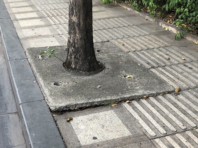 02-1691671390.jpg