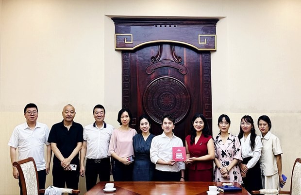 ming-pan-va-cuc-hop-tac-quoc-te-cuc-dien-anh-1691636484.jpg