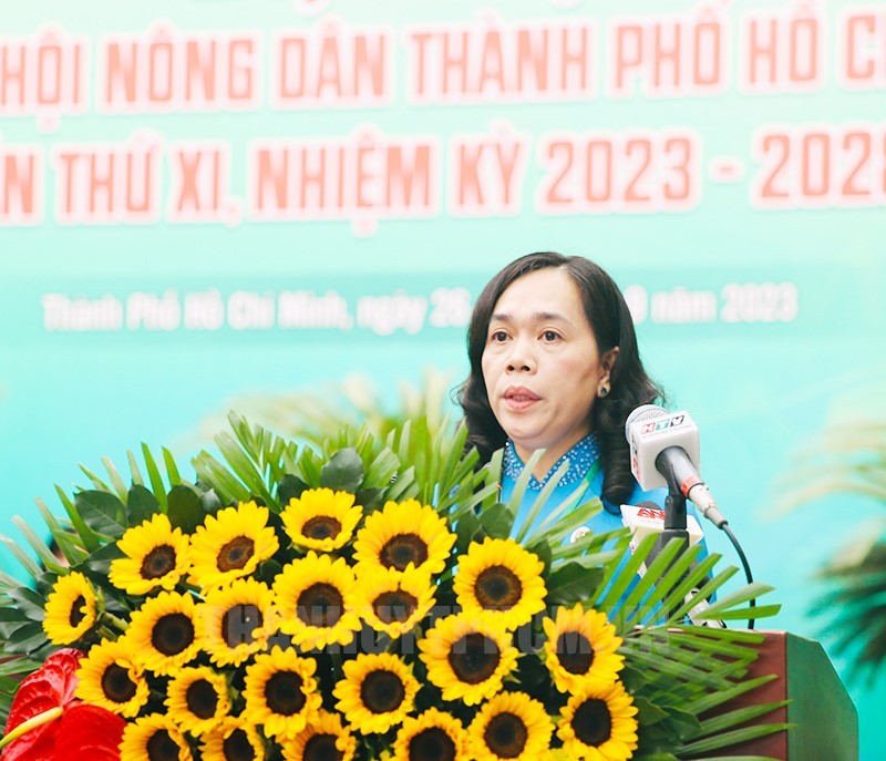 hoinogndan-1695894206.jpg