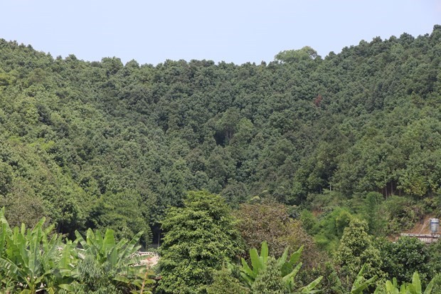 2809que2-1695941476.jpg