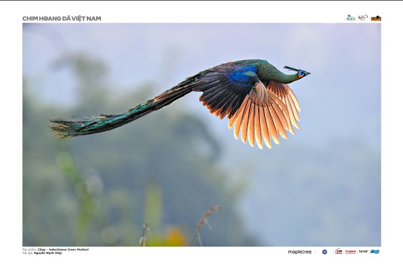 screenshot-2023-10-17-093851-1697510353.png