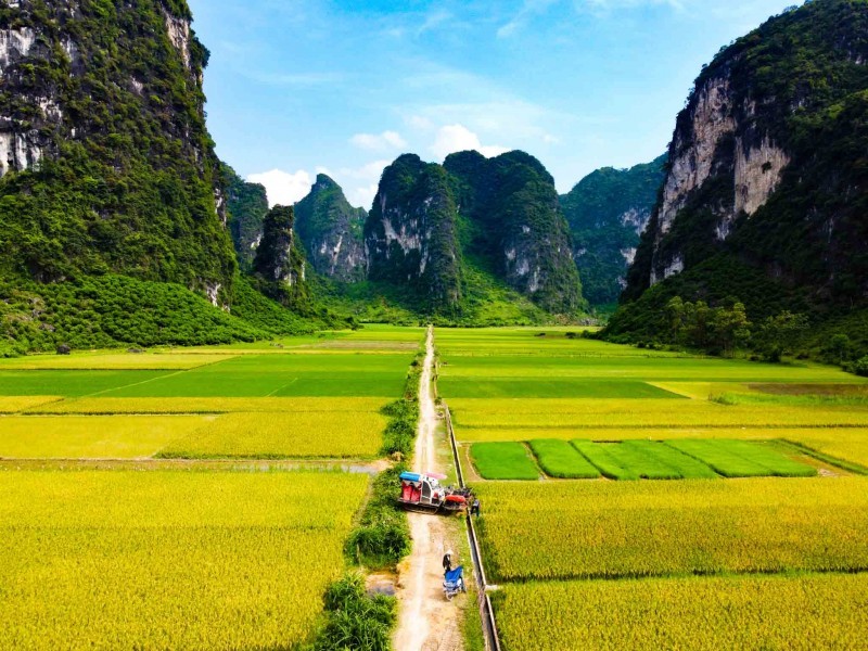 1-yen-thinh-lang-son-3-120231026162826-1698458336.jpg