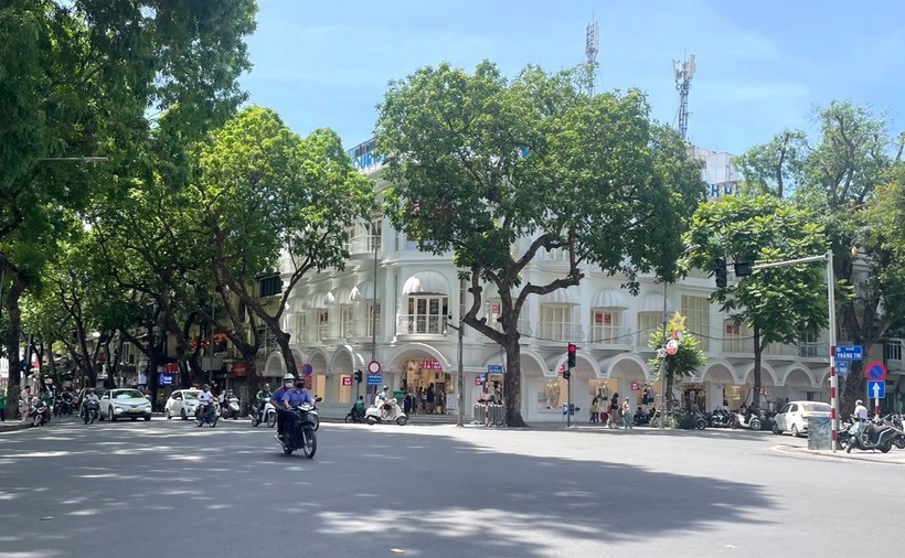nangnong-1752808516.jpg