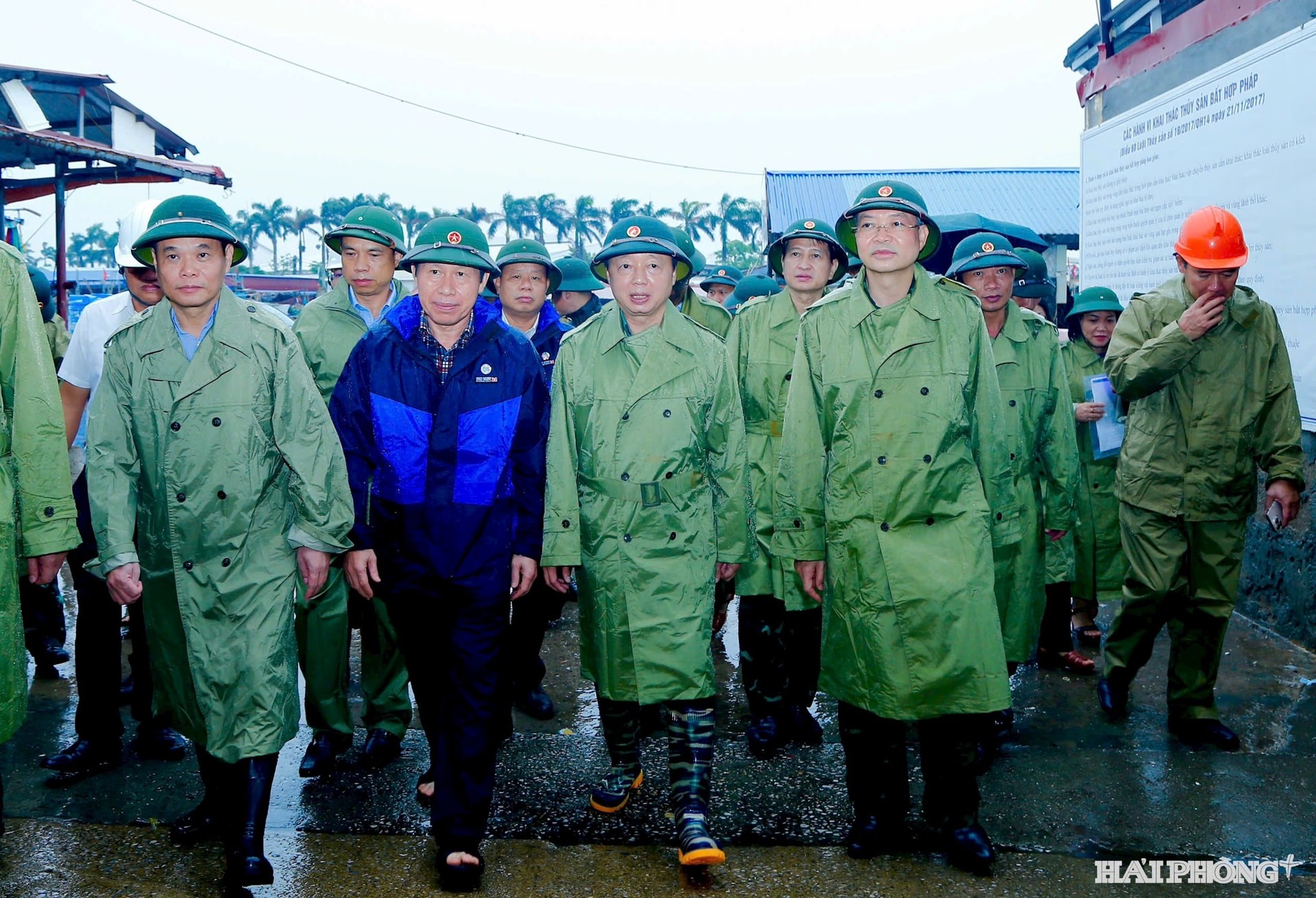 88c0b6de-31d3-4a21-81a4-a62ed15f3451-kiem-tra-bao-1753099284.jpg