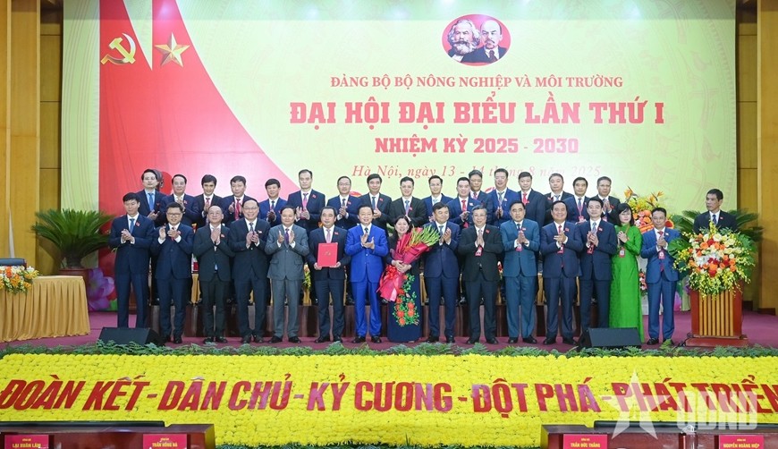 nn-5-1755161210.jpg
