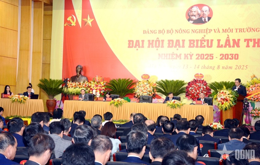 nvc-6211-1755161175.jpg