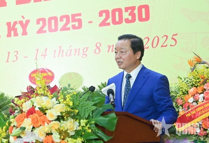 thh-1755160854.jpg