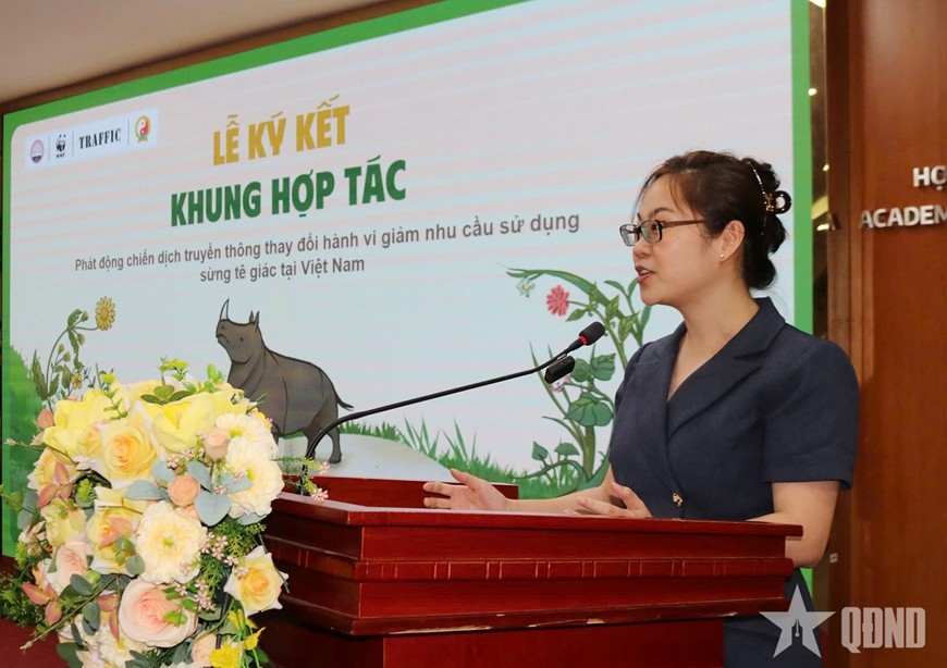 hvbc1-1757409385.jpg