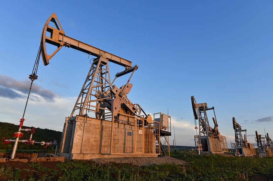 gia-dau-7-1-1772247676.jpg