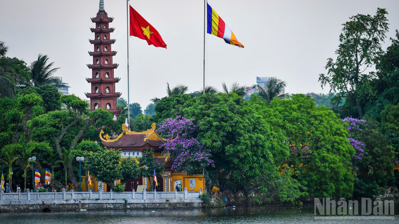 thiet-ke-chua-co-ten-106-1772788390.png