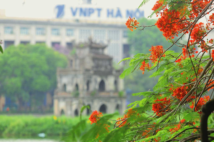 hanoi-1-1778035199.png