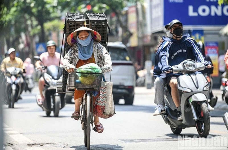 nong-1-1778554953.jpg