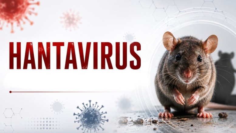virus-hanta-1-1778486371651282573698-1778558594.jpg