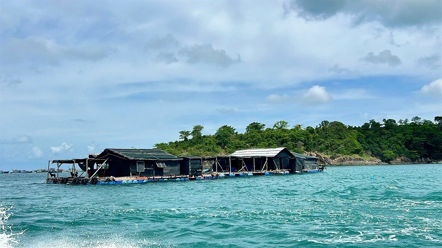 h11-1780720639.jpg