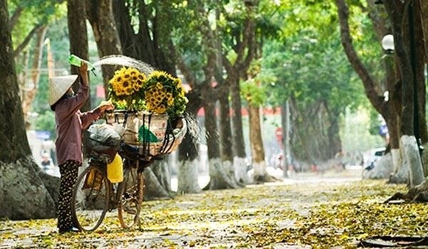 dep-nao-long-mua-thu-ha-noi-1789958528.jpg