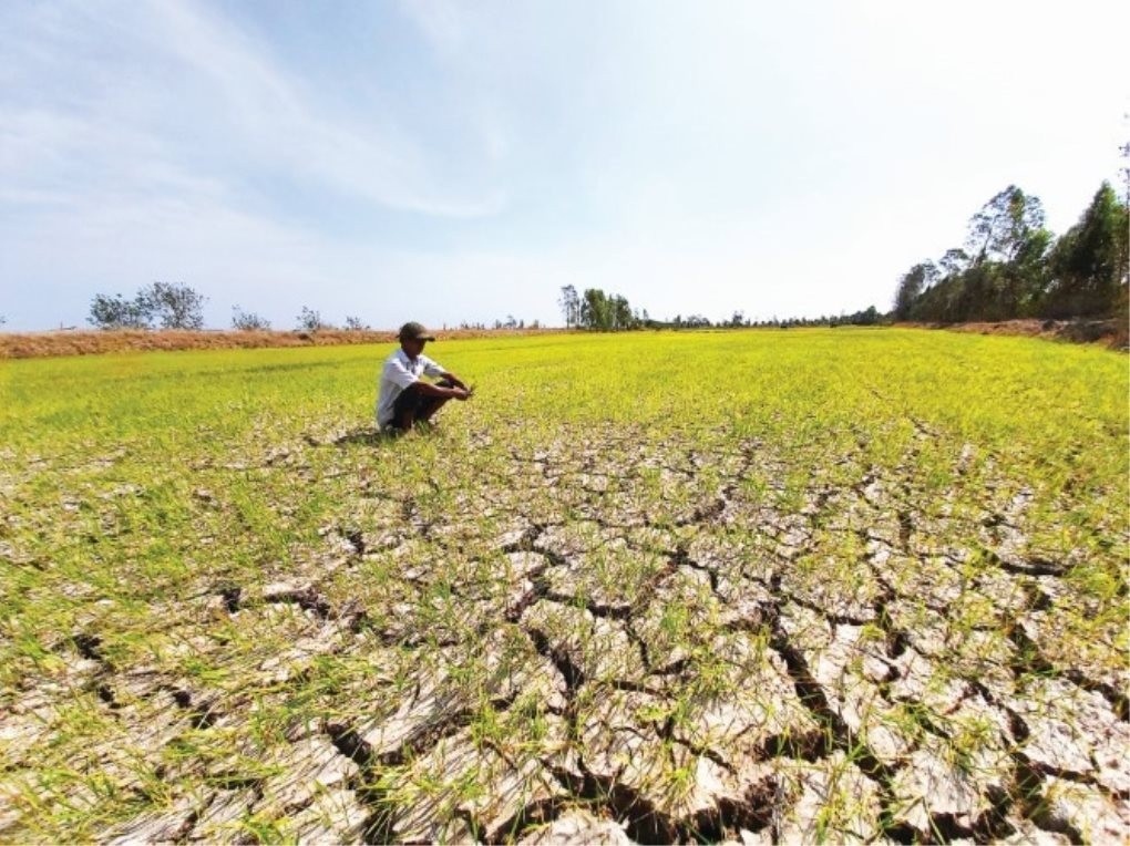 chu-dong-ung-pho-nguy-co-thieu-nuoc-do-anh-huong-cua-el-nino-1790356811.jpeg