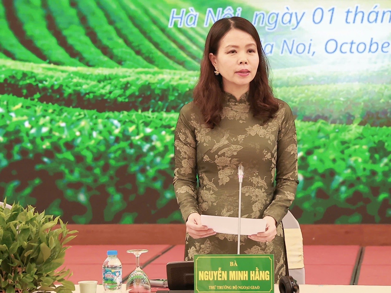 thu-truong-bo-ngoai-giao-nguyen-minh-hang-1790863384.jpg