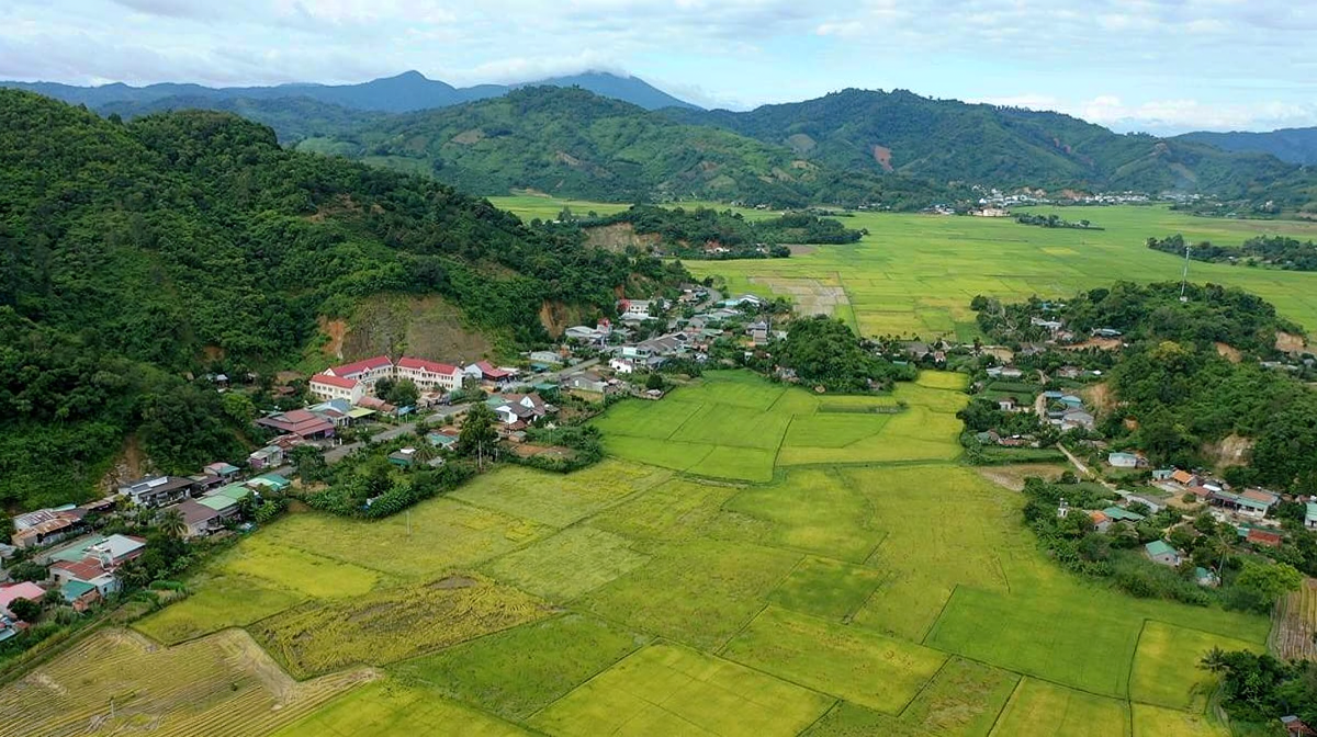 Nông nghiệp tiếp tục là bệ phóng vững chắc, đóng góp vào bức tranh kinh tế khởi sắc của xã Đắk Liêng.