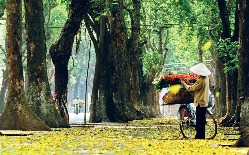 hanoimoi-1791861427.jpg