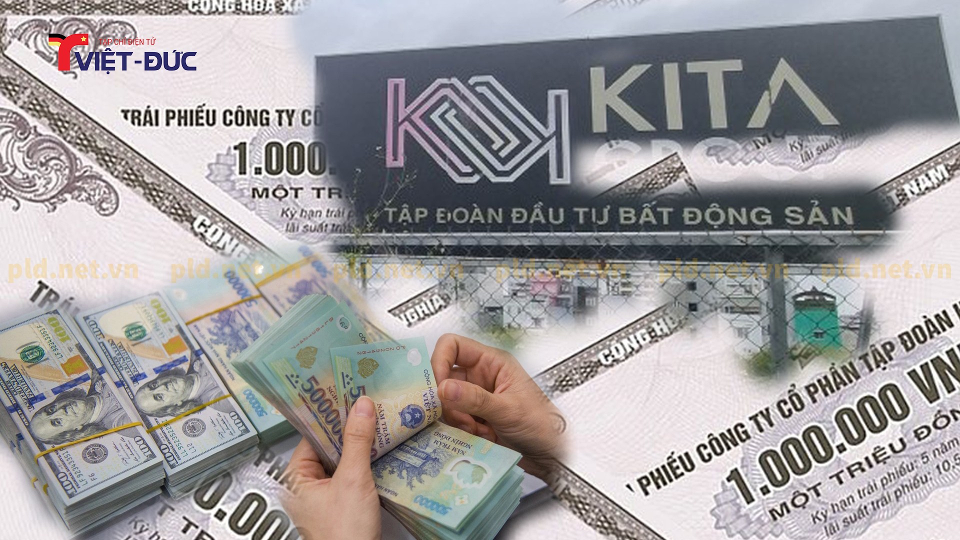 kita-no-trai-phieu-1750996691.jpg