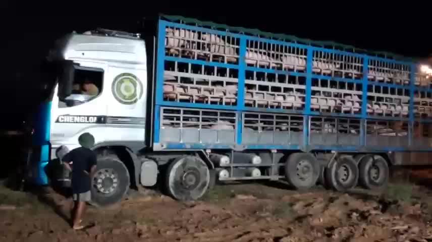 dich-ta-lon-chau-phi-pld-1752476856.mp4