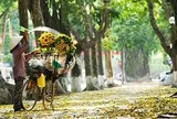 Thời tiết hôm nay (21-9): Miền Bắc ngày nắng, miền Trung và miền Nam có mưa, cục bộ có nơi mưa rất to