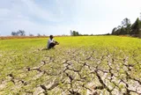 Chủ động ứng phó nguy cơ thiếu nước do ảnh hưởng của El Nino