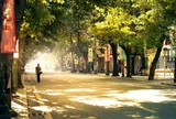 Thời tiết hôm nay (28-9): Bắc Bộ ngày nắng, mưa dông vào chiều tối