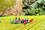 Chính sách mới có hiệu lực từ tháng 10/2026