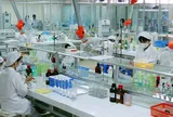 Phê duyệt Chương trình phát triển công nghiệp hóa dược Việt Nam đến năm 2045
