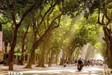 Thời tiết hôm nay (19-10): Bắc Bộ ngày nắng, Nam Bộ có mưa rào và rải rác có dông