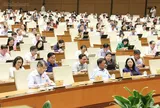 Bổ sung chính sách miễn thuế, điều chỉnh thuế sử dụng đất phi nông nghiệp