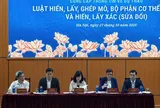 Bộ Y tế làm rõ đề xuất hiến mô, bộ phận cơ thể ở người dưới 18 tuổi