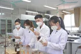 Đề xuất quy định về nhóm nghiên cứu tiềm năng, nhóm nghiên cứu mạnh trong cơ sở giáo dục đại học
