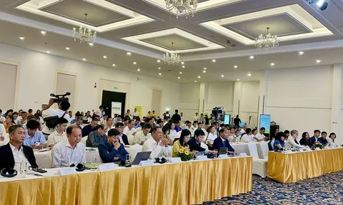 Cần Thơ khởi động dự án lúa gạo phát thải thấp, hướng đến phát triển bền vững