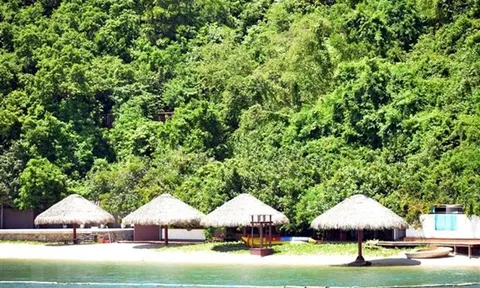 Dự án 'đắp chiếu,' du khách mua vé nhưng không được lên đảo Soi Sim
