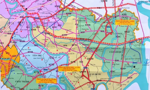 Long An: Chuyển mục đích sử dụng đất trồng lúa thực hiện Dự án ĐT.827E