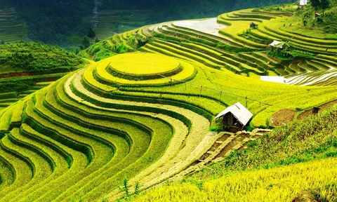 Quy chế hoạt động của Hội đồng điều phối vùng trung du và miền núi phía Bắc