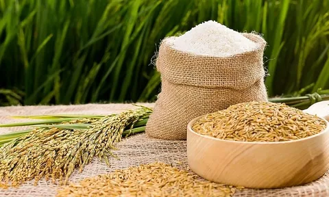 Thương vụ Việt Nam tại Thụy Điển khuyến cáo loạt giải pháp đưa nông sản vào Bắc Âu