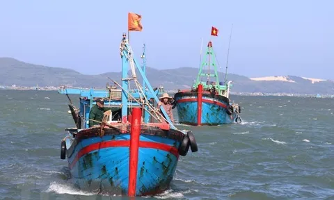 Chính phủ phê duyệt Đề án “Phòng, chống khai thác hải sản bất hợp pháp, không báo cáo và không theo quy định đến năm 2025”