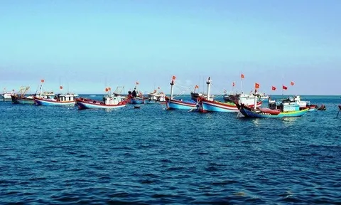 Chính phủ phê duyệt Chương trình quốc gia phát triển khai thác thủy sản hiệu quả, bền vững