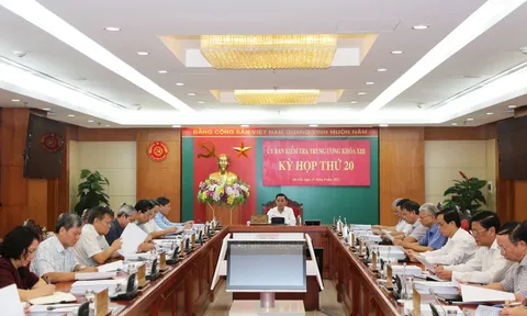 Đề nghị kỷ luật Thứ trưởng Bộ Ngoại giao và Trợ lý Phó Thủ tướng Thường trực Chính phủ