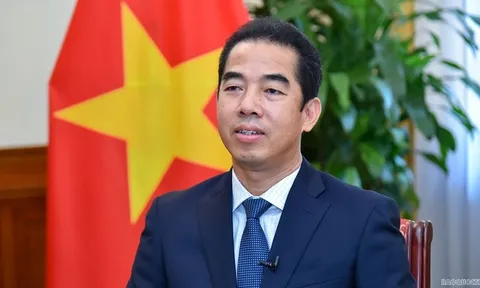 Khai trừ Đảng Thứ trưởng Bộ Ngoại giao Tô Anh Dũng và trợ lý Phó Thủ tướng thường trực Chính phủ  Nguyễn Quang Linh