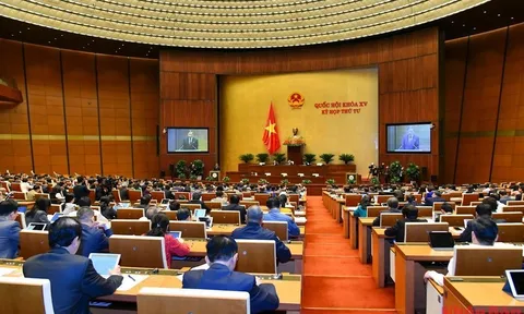 Khai thác hiệu quả kho số đăng ký xe ô-tô, tăng nguồn thu cho ngân sách nhà nước