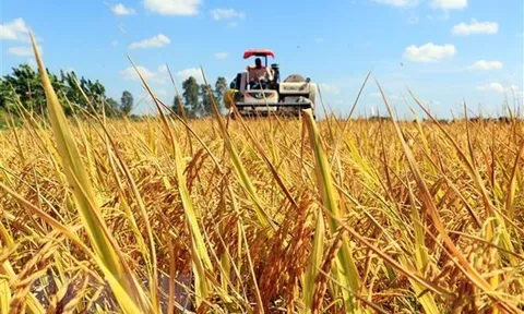 Việt Nam chung tay cùng thế giới ứng phó các thách thức toàn cầu