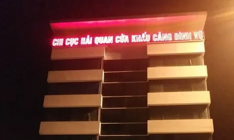Cấu kết với doanh nghiệp để trốn thuế một cán bộ hải quan Hải Phòng bị khởi tố