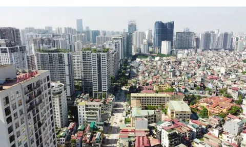 Bộ Xây dựng thanh tra, xử lý nhiều tổ chức, cá nhân vi phạm về kinh doanh bất động sản