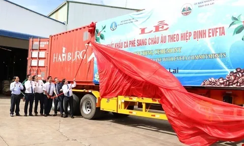 Nắm bắt lợi thế, ngành càphê Việt Nam chinh phục kỷ lục mới