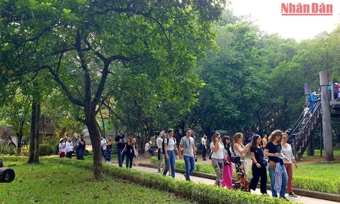 Hơn 2,3 triệu lượt khách quốc tế đến Việt Nam trong 10 tháng